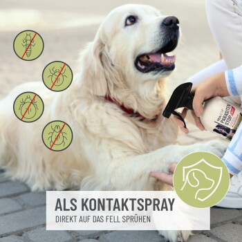 Eine Person sprüht die Pfote eines Golden Retrievers mit einem Kontakt-Spray gegen Parasiten, mit Symbolen von Schädlingen, die mit roten Kreuzen überdeckt sind.