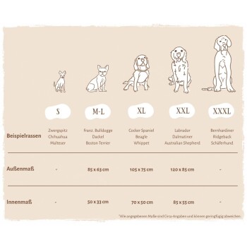 Drei Hunde (Französische Bulldogge, Beagle, Golden Retriever) über einer Größentabelle für Haustierprodukte für M-L, XL und XXL.