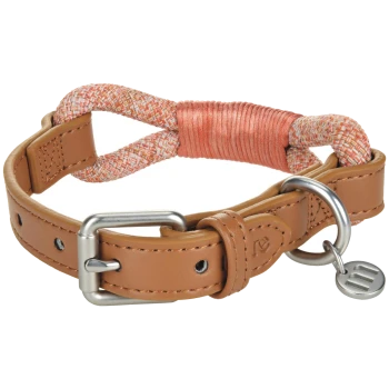 Collier pour chien en cuir fauve avec poignée en corde tissée orange et blanche, enroulement en cordon corail, boucle métallique, anneau en D et médaille ronde.