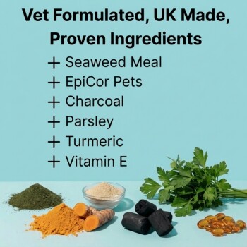 Banner: Vet Formulated, UK Made, Proven Ingredients. Ingredient list and photos of powders, herbs, charcoal and capsules