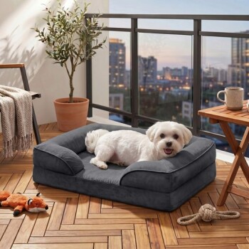 Kleiner weißer Hund ruht auf einem grauen Hundebett mit Rand auf einem Balkon mit Stadtsilhouette, Seilspielzeug, Plüschfuchs-Spielzeug und einer Kaffeetasse auf dem Tisch.