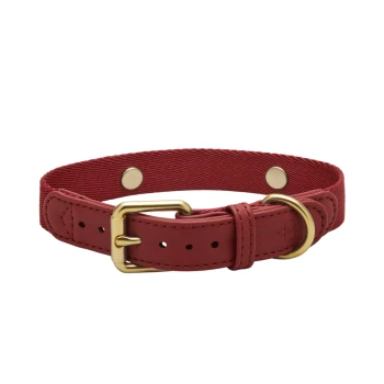 Rote Tierhalsband mit einer goldenen Schnalle und D-Ring, mit einem strukturierten Stoffdesign und verstellbaren Löchern für die Größe.