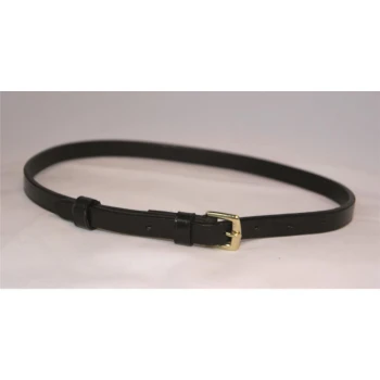 Schwarzes Lederhaustierhalsband mit einer goldenen Schnalle und verstellbaren Löchern, auf einem hellen Hintergrund präsentiert.