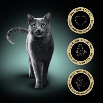 Eine graue Katze auf dunklem Hintergrund mit drei goldenen Siegeln: '100% vollständige Ernährung', 'natürliche Zutaten' und 'keine künstlichen Farben.'