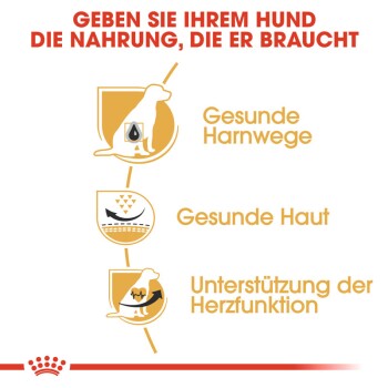 Bild zur Förderung der Hundenahrung mit dem Text: "Geben Sie Ihrem Hund die Nahrung, die er braucht" und Symbolen für Harn-, Haut- und Herzgesundheit.
