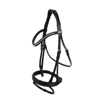Hans Melzer Horse Equiqment Trense Wiesbaden WB (Warmblut)