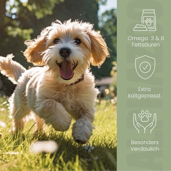 Glücklicher flauschiger Hund läuft auf Gras mit Text über Omega 3 & 6, kaltgepresst und leicht verdaulich auf Deutsch.