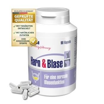 Flasche mit GIGI Harn & Blase Kapseln für Haustiere, beschriftet mit "Für eine normale Blasenfunktion", mit Preiselbeeren und Blättern daneben.