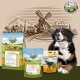 Ein Berner Sennenhund sitzt neben Bellfor-Hundefutterprodukten mit einer Windmühlenkulisse.