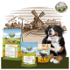 Ein Berner Sennenhund sitzt neben Bellfor-Hundefutterprodukten mit einer Windmühlenkulisse.