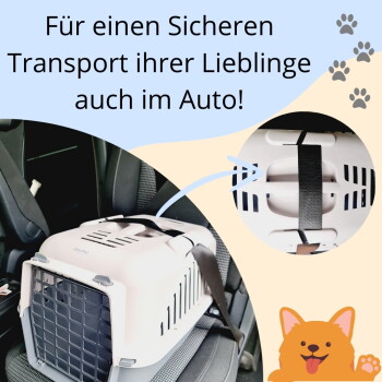 Transportbox im Auto angeschnallt, Nahaufnahme des Gurts; Text: 'Für einen sicheren Transport Ihrer Lieblinge auch im Auto!'
