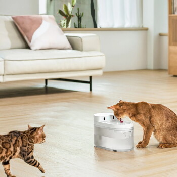 Zwei Katzen (braun-getigert und rot) trinken aus einem weißen automatischen Trinkbrunnen auf einem Holzboden im Wohnzimmer