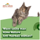 Eine flauschige Katze ruht auf einer grünen Fläche, mit dem Text 'Wann sollte man Almo Nature Anti Hairball wählen?' deutlich angezeigt.