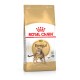 Royal Canin Adult Bengal Katzenfuttertüte mit einer Illustration einer Bengal-Katze, mit Text, der 'Feline Breed Nutrition' hervorhebt.