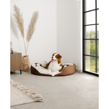 Ein glücklicher braun-weißer Hund liegt in einem gemütlichen, braunen Hundebett mit einem weißen Kissen, das in einem modernen Raum mit großen Fenstern und dekorativen Pflanzen steht.