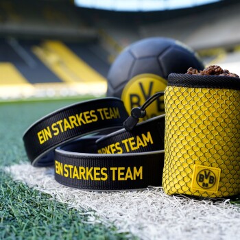 Nahaufnahme einer schwarz-gelben Haustierleine mit "EIN STARKES TEAM," einer gelben Leckerlitasche und einem schwarzen Fußball auf Gras.