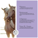 Zwei Pferde auf einem hellen Hintergrund mit Text auf der rechten Seite, der beruhigende Zutaten auflistet: Magnesium, Baldrianwurzel, L-Tryptophan, Vitamin B-Komplex.