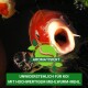 Nahaufnahme eines rot-weißen Koi-Fisches mit Wasserblasen; der Text lautet "Aromatisiert" und "Unwiderstehlich für Koi."