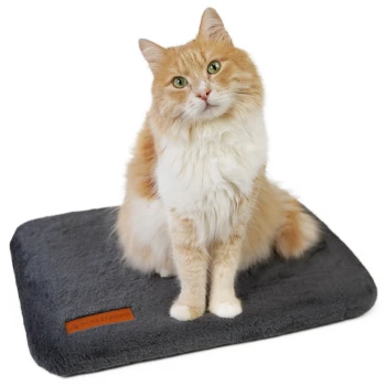 Eine flauschige orange-weiße Katze sitzt auf einer weichen grauen Tiermatte mit einem braunen Etikett, auf dem 'SCHLITZOHR' steht.