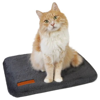 Eine flauschige orange-weiße Katze sitzt auf einer weichen grauen Tiermatte mit einem braunen Etikett, auf dem 'SCHLITZOHR' steht.