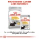 Emballage de nourriture pour chien Royal Canin Dermacomfort, présentant un sac pour petits chiens et une pochette pour toutes tailles, avec un texte mettant en avant une formule à allergènes réduits.