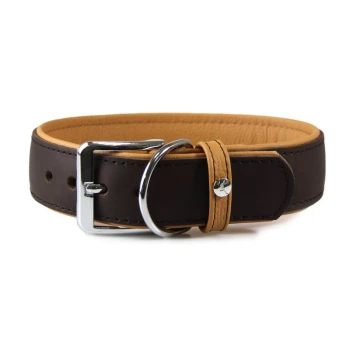 The Vancouver leather collar 35 cm, 2.5 cm Brown leather pet collar with a silver buckle and a tan inner lining, featuring holes for adjustment.
