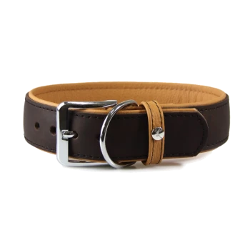 Brown leather pet collar with a silver buckle and a tan inner lining, featuring holes for adjustment.