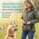 Eine Frau in einem weißen Hemd und Jeans führt einen schwarz-weißen Hund an der Leine in einem grasbewachsenen Park, während sie einen Tennisball und eine Hundekot-Tüte hält.