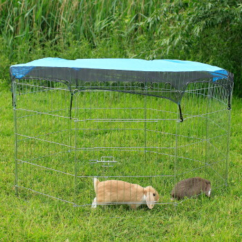 Outdoor-Metall-Haustierauslauf mit blauem Überzug, in dem sich zwei Kaninchen auf grünem Gras befinden.