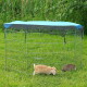 Outdoor-Metall-Haustierauslauf mit blauem Überzug, in dem sich zwei Kaninchen auf grünem Gras befinden.