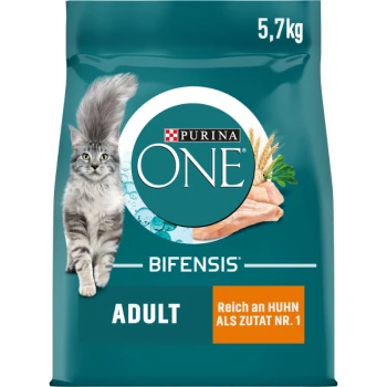 Sac de nourriture pour chat Purina ONE Bifensis, 5,7 kg, présentant un chat gris duveteux, avec le texte 'ADULT' et 'Reich an Huhn als Zutat Nr. 1'.