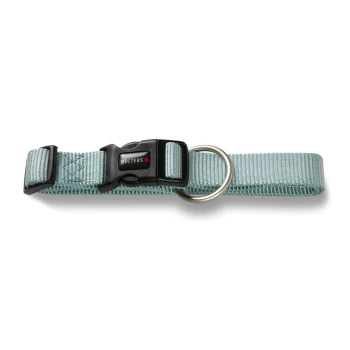 Professional Halsband Hellblaues verstellbares Nylon-Hundehalsband mit schwarzer Kunststoffschnalle mit der Aufschrift "Wolters" und Metall-D-Ring auf weißem Hintergrund.