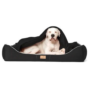 Ein großer weißer Hund, der bequem in einem schwarzen Haustierbett mit einem teilweise drapierten Bezug ruht, zeigt ein gemütliches Design.