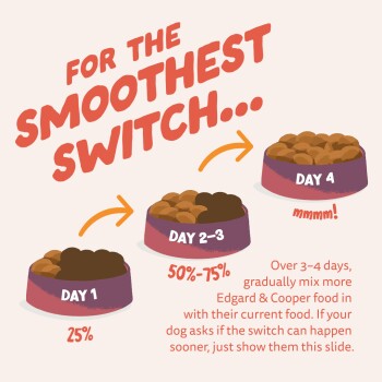 Three dog food bowls: Day 1 (25%), Day 2–3 (50–75%), Day 4; text 'For the Smoothest Switch...' and Edgard & Cooper.