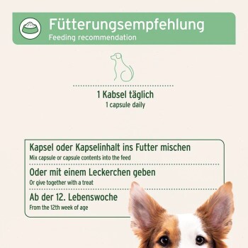 Etikett: „Fütterungsempfehlung“ — 1 Kapsel täglich; in das Futter mischen oder als Belohnung geben; ab 12 Wochen. Hundegesicht.