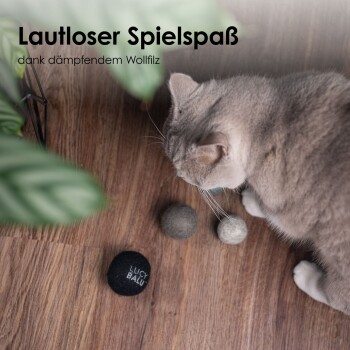 Graue Katze mit Filzspielbällen auf dem Holzboden; Überschrift 'Lautloser Spielspaß...' und schwarzer Ball mit Aufschrift 'LUCKI BALU'.