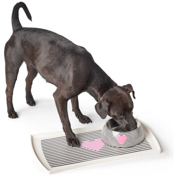 Ein schwarzer Hund trinkt aus einer gestreiften Schüssel mit rosa Herzen, steht auf einer passenden gestreiften Matte.