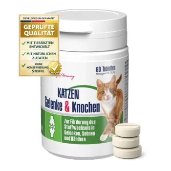 Behälter mit GIGI Katzen Gelenk- und Knochen-Tabletten, mit einem Katzenbild, dem Text "KATZEN Gelenke & Knochen" und einem "GMP Certified"-Abzeichen.