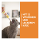Graue Katze frisst Paste aus einer von einer Hand gehaltenen Quetschtube; oranger Bereich mit Text: 'MIT 12 VITAMINEN UND LECKEREM KÄSE'
