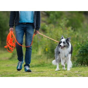 Eine Person in einem blauen Hemd und einem dunklen Kapuzenpullover führt einen glücklichen, flauschigen Border Collie an einer orangefarbenen Leine in einem grünen Park.