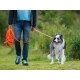 Eine Person in einem blauen Hemd und einem dunklen Kapuzenpullover führt einen glücklichen, flauschigen Border Collie an einer orangefarbenen Leine in einem grünen Park.