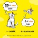 Cartoon von einer Katze und einem Kätzchen auf gelbem Hintergrund, der 20 Snacks für Katzen über 1 Jahr und 6 für Kätzchen von 2-12 Monaten detailliert.