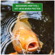 Eine Nahaufnahme eines Koi-Fisches, der im Wasser schwimmt, mit offenem Mund und dem Text "BESONDERS WERTVOLL MIT MEHLWURM-PROTEIN" darüber.
