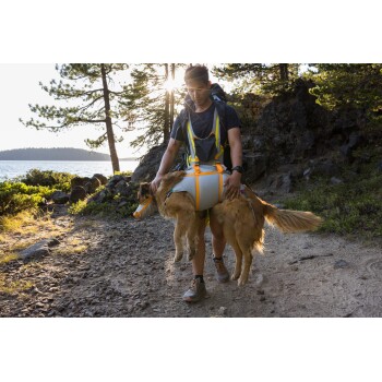 Eine Person, die ein Geschirr trägt, trägt einen Golden Retriever in einer Haustiertrage auf einem Wanderweg am See, umgeben von Bäumen.