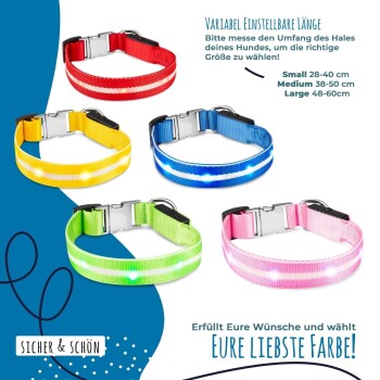Bunte verstellbare Hundehalsbänder in Rot, Gelb, Blau, Grün und Pink mit reflektierenden Streifen und LED-Lichtern. Größen: S, M, L.
