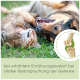 Ein verspielter Hund und eine Katze liegen auf Gras, mit einer Grafik eines Gelenks und Text über erhöhte Nahrungsbedürfnisse bei Gelenkbelastung.