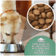 Ein hellbrauner Hund frisst aus einer Edelstahlschüssel. Einfügen zeigt trockenes Futter. Text: "Hypoallergenes Hundefutter auf Huhn-Basis, ohne Weizen."