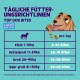 Infografik für 'Top Dog Bites', die tägliche Fütterungsempfehlungen für Hunde basierend auf dem Gewicht zeigt, mit einer Cartoon-Hund- und Futterbild.