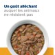 Bol de nourriture pour animaux de compagnie avec des morceaux de viande, des pois, des carottes et du riz, avec le texte "Un goût alléchant auquel les animaux ne résistent pas."