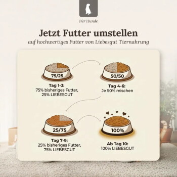 ‚Jetzt Futter umstellen‘ – Futterumstellung: Näpfe 75/25 (Tag 1–3), 50/50 (Tag 4–6), 25/75 (Tag 7–9), 100% (ab Tag 10)